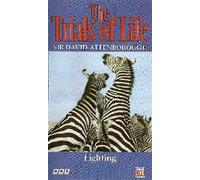 Sir David Attenborough's The Trials Of Life: Fighting