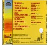 Sir Douglas Quintet - Live Texas Tornado