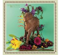 Sir Richard Bishop & Ed Yazijian Sir Richard Bishop & Ed Yazijian (Vinyl)