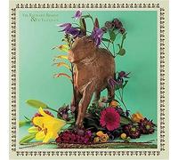 Sir Richard Bishop & - Sir Richard Bishop & Edyazijian [Vinilo]