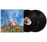 Sir Sly The Rise & Fall Of Loverboy (Vinyl) (Importación USA)