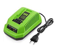 Sirxlevcy Cargador de BateríA de Litio de 40 V para GreenWorks 29482 G-MAX BateríA de Iones de Litio de 40 V 29472 29482 29652 G40825 Enchufe de la UE