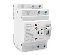 SiRyder Interruptor de Transferencia AutomáTico,ATS 2P 63A Din Riel Dual Power Automatic Change-over Switch Selector EléCtrico 220V Interruptor De Corriente De Emergencia