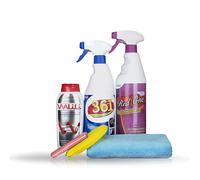 Sisbrill Kit Limpieza y Cuidado Pintura - Descontamina y Elimina Todo Tipo de Suciedad y Contaminación - Brillo más Potente