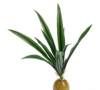 SiSinkal Hojas de orquídea de imitación realistas diseñadas para ramos creativos y decoración de jardín, tallos de follaje de plástico que añaden un toque natural elegante a espacios interiores y