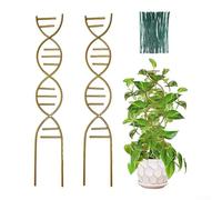 SiSinkal Juego de enrejado de metal para plantas de interior con estilo de ADN para plantas de interior pequeñas, marco de soporte resistente para trepar que fomenta el crecimiento hacia arriba en la