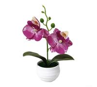SiSinkal Maceta de orquídea Phalaenopsis en miniatura de 2 cabezas, planta artificial realista para material de película de alta calidad, 6.9 pulgadas, para el hogar, mesa, boda, oficina, fotografía