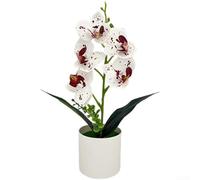SiSinkal Orquídea artificial Phalaenopsis en maceta para decoración del hogar, escritorio, oficina, maceta blanca de plástico suave, 12.2 x 6.7 pulgadas, para dormitorio, balcón (morado manchado)