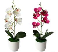 SiSinkal Planta artificial de orquídea Phalaenopsis de 12.2 pulgadas, pétalos de tacto real en maceta para decoración de casa, oficina, escritorio, boda (blanco + rojo)
