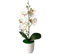 SiSinkal Planta artificial de orquídea Phalaenopsis de 12.2 pulgadas, pétalos de tacto real en maceta para decoración de casa, oficina, escritorio, boda (blanco)