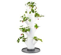 Sissi Strawberry (Starter, blanco) - Macetero / Macetero / Torre de Plantación/Jardinera para Fresas - Para Balcón, Jardín y Terraza - Plantación de Fresas y Hierbas