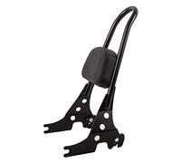 Sissy Bar - Respaldo de pasajero extraíble de liberación rápida para moto Harley Davidson Sportster 1200 Roadster XL 1200 CX año 2017 negro