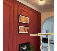 Sistema de Colgantes de riel de Imagen Imagen de latón Cadena y Pista y Gancho, Cable Colgante para Arte de Pared, Espejos, Marcos de Fotos, Marco de Imagen de Doble Colgante de riel de 2-8.2 pies