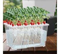 Sistema de cultivo de plantas acuáticas de interior con 15 agujeros para cultivo sin suelo y fácil observación de la salud y crecimiento de las raíces (negro)