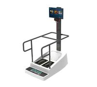 Sistema de entrenamiento del equilibrio basado en perturbaciones y con ejercicios duales (motores y cognitivos) que permiten realizar una rehabilitación física y neurológica de alto nivel. Plataforma 