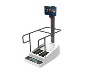 Sistema de entrenamiento del equilibrio basado en perturbaciones y con ejercicios duales (motores y cognitivos) que permiten realizar una rehabilitación física y neurológica de alto nivel. Plataforma 