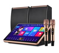 Sistema de karaoke profesional, máquina de karaoke de 15.6 pulgadas con 2 micrófonos inalámbricos y altavoces, disco duro integrado de 500 G, megáfono digital DSP profesional, para reuniones