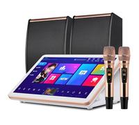 Sistema de karaoke profesional, máquina de karaoke de 15.6 pulgadas con 2 micrófonos inalámbricos y altavoces, disco duro integrado de 500 G, megáfono digital DSP profesional, para reuniones