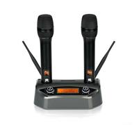 Sistema de micrófono inalámbrico profesional FM de mano dual con reducción de ruido Aleación de aluminio para rendimiento en vivo Karaoke Discurso Negro