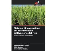 Sistema di lavorazione del terreno nella coltivazione del riso: Diverse pratiche di conservazione