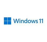 Microsoft Windows 11 Pro Producto empaquetado completo (FPP; full packaged product) 1 licencia(s)