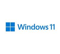 Microsoft Windows 11 Pro Producto empaquetado completo (FPP; full packaged product) 1 licencia(s)