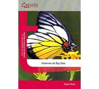 Sistemas de Big Data: Sistemas de Big Data (SIN COLECCION)