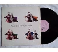Sister Bliss - Sister Bliss - Oh! What A World - Go! Discs