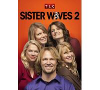 Sister Wives 2 [Reino Unido] [DVD]