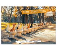 Sitz, Platz, Spül - Hunde auf dem Thron (Tischkalender 2026 DIN A5 quer), CALVENDO Monatskalender: Lustiger Hundekalender mit süßen Hunden auf dem WC. ... Geschäft. Für alle, die Spaß und Humor lieben