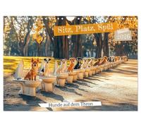 Sitz, Platz, Spül - Hunde auf dem Thron (Wandkalender 2026 DIN A4 quer), CALVENDO Monatskalender: Lustiger Hundekalender mit süßen Hunden auf dem WC. ... Geschäft. Für alle, die Spaß und Humor lieben