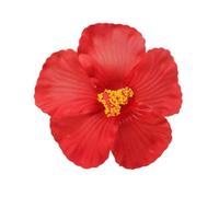 Siumlation Clip de pelo de flores para mujeres y niñas Hibiscus pelo barrette accesorios para el cabello para vacaciones y fiestas en la playa