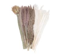 SIWOTED 110 PCS Dried Pampas Grass Decor Rustic Phragmites Dried Flowers Bouquet for Wedding