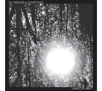 SIX ORGANS OF ADMITTANCE - LUMINOUS NIGHT