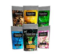 SIX PACK POWDER - Fertilizantes Bio en Polvo - Hidrosolubles en Agua - Plantas Terapéuticas - Guano, Crecimiento, Floración, Energía y Micorrizas (500+3x100+50+30 gr)