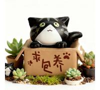 SIXRUN Modelo de Gato de Caja Pobre de Dibujos Animados, Estatua en Miniatura de PVC, Figura de Gato Linda para Decoración de Hogar, Coche, Oficina, con Colores Vibrantes (Black)