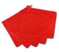 SIXTOL Car Detailing Wash Towel Set 5 | Paños de Microfibra para Coche | paños de Limpieza | Microfibra para Coche | 25 x 25 cm | 450 g/m2 | Cuidado con la Pintura | 5 Unidades