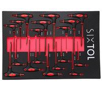 SIXTOL Mechanic Tool Tray 5 | Módulo de Herramientas 18 Piezas | Mango en T Llave Torx y Hex | Inserto EVA para Carro de Taller