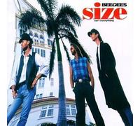 Size Isn't Everything by Bee Gees