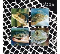 Size - Nadie Puede Vivir Con Un Monstruo [BLUE] [Vinilo]