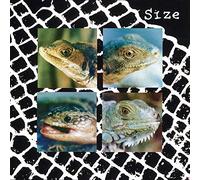 Size - Nadie Puede Vivir Con Un Monstruo [Vinilo]