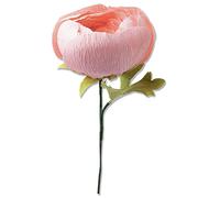 Sizzix 664925 - Juego de Troquel Thinlits 5PK Ranunculus by Olivia Rose