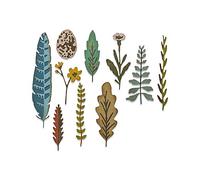 Sizzix 665215 Thinlits Funky Nature by Tim Holtz Troquel (10 unidades)