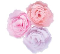 Sizzix Bigz Die Cabbage Rose de Jennifer Ogborn, 665824