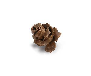 Sizzix Bigz Troquel Piñones Jumbo Tattered