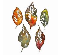Sizzix Die Set Leaf Fragments by Juego de Troqueles Thinlits 5PK Fragmentos de Hojas de Tim Holtz, 665559, Acero al Carbono, Multicolor, Talla única