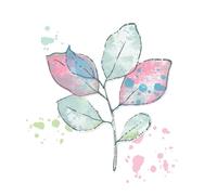 Sizzix Sellos transparentes A5 y troqueles para marcos - Hojas pintadas por 49 y mercado