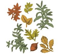 Sizzix Sellos transparentes A5 con Framelits Die Forever Leaves by 49 and Market