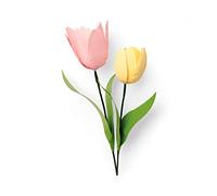 Sizzix Set de Troqueles Thinlits 8 pzas 664390 Tulipán by Jennifer Ogborn, Plástico Papel, Multicolor, Talla única