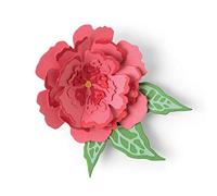 Sizzix Thinlits 665188-Juego de Troqueles (10 Unidades), diseño de Flores, Papel Plástico, Multicolor, Talla única